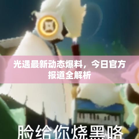 凤凰于飞
