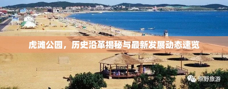 虎滩公园，历史沿革揭秘与最新发展动态速览