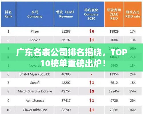 广东名表公司排名揭晓，TOP 10榜单重磅出炉！