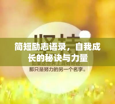 简短励志语录，自我成长的秘诀与力量