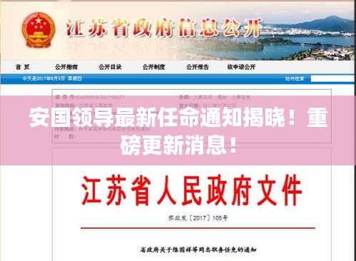 安国领导最新任命通知揭晓！重磅更新消息！