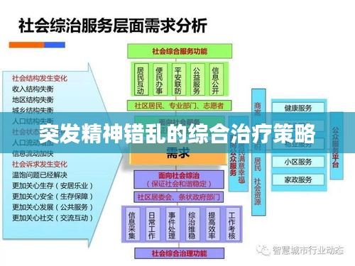 突发精神错乱的综合治疗策略