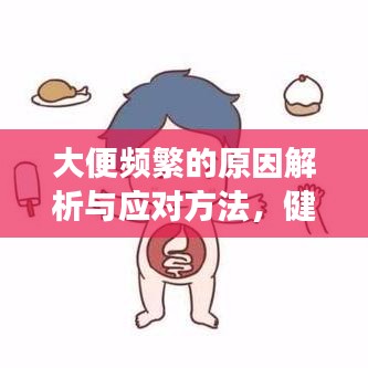 大便频繁的原因解析与应对方法，健康困扰不再来