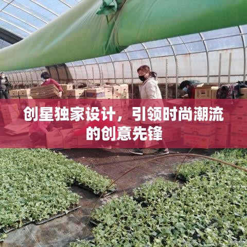 创星独家设计，引领时尚潮流的创意先锋