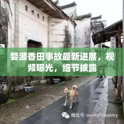 婺源香田事故最新进展，视频曝光，细节披露