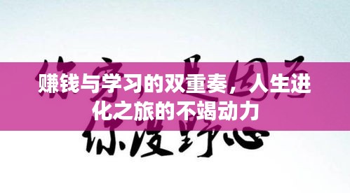 赚钱与学习的双重奏，人生进化之旅的不竭动力