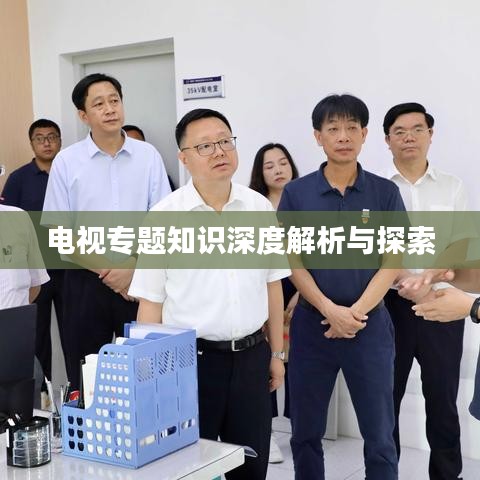 电视专题知识深度解析与探索