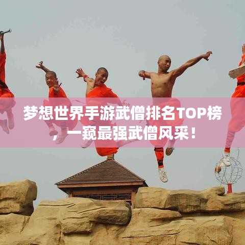 梦想世界手游武僧排名TOP榜，一窥最强武僧风采！