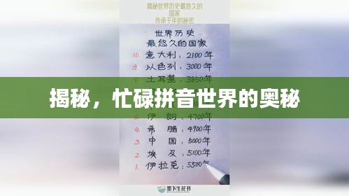 揭秘，忙碌拼音世界的奥秘