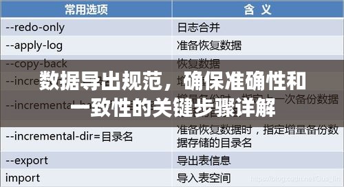 数据导出规范，确保准确性和一致性的关键步骤详解
