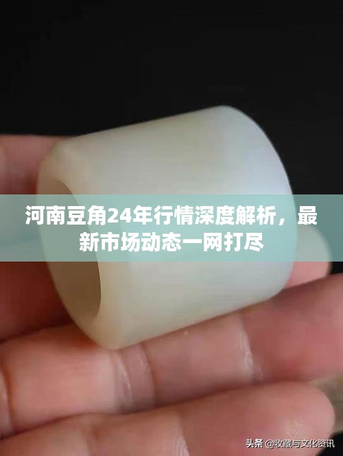 河南豆角24年行情深度解析，最新市场动态一网打尽