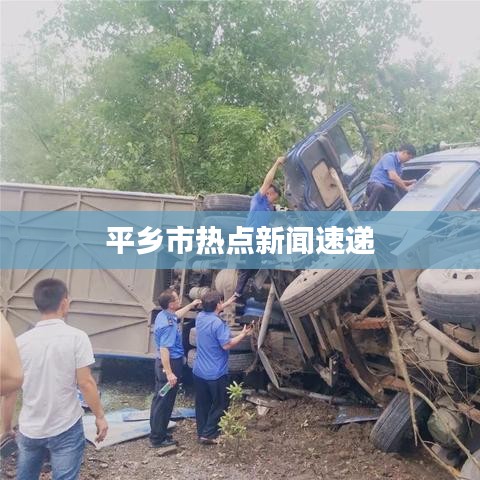 平乡市热点新闻速递