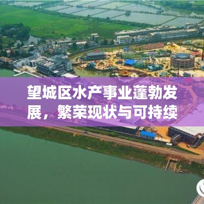 望城区水产事业蓬勃发展，繁荣现状与可持续发展未来