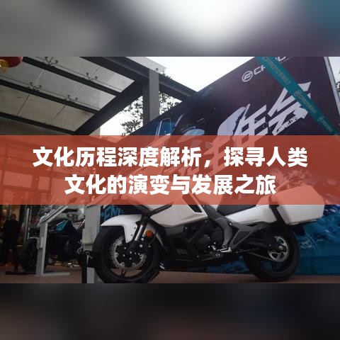文化历程深度解析，探寻人类文化的演变与发展之旅