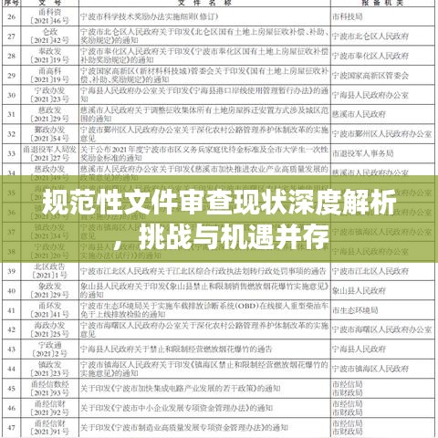 规范性文件审查现状深度解析，挑战与机遇并存