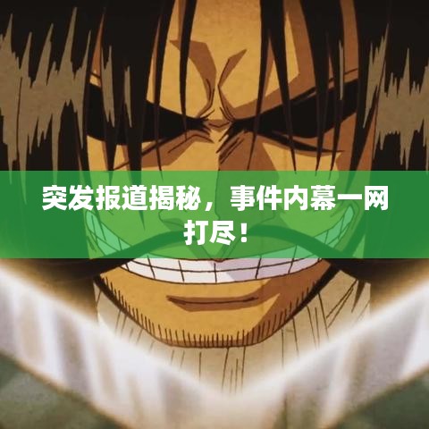 突发报道揭秘，事件内幕一网打尽！