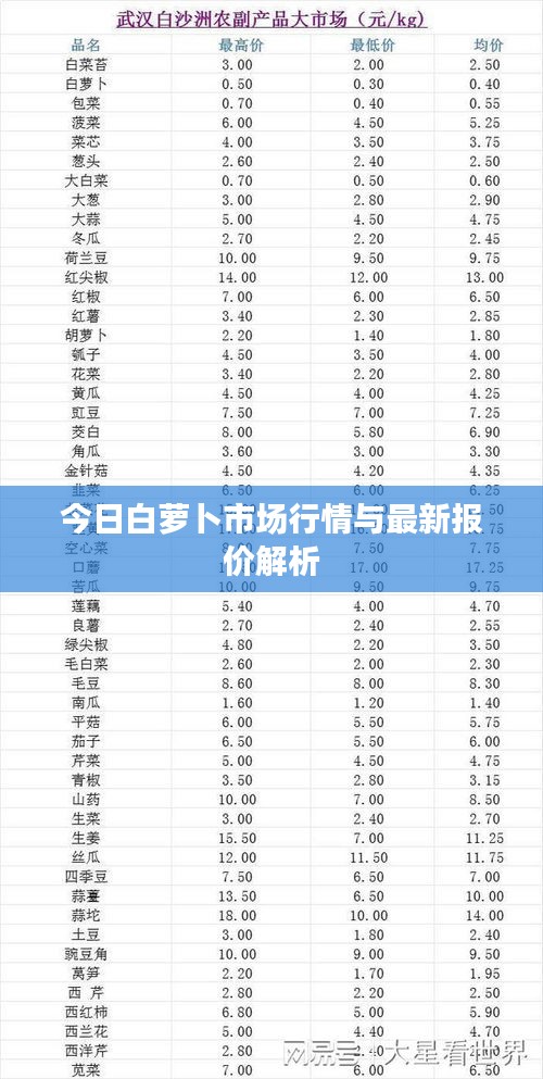 今日白萝卜市场行情与最新报价解析