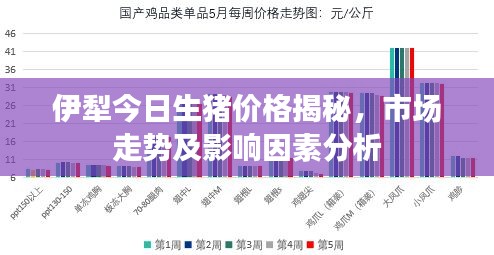伊犁今日生猪价格揭秘，市场走势及影响因素分析
