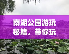 南湖公园游玩秘籍，带你玩转美景盛宴！