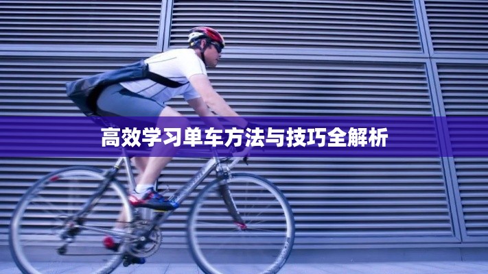 2025年6月11日 第3页