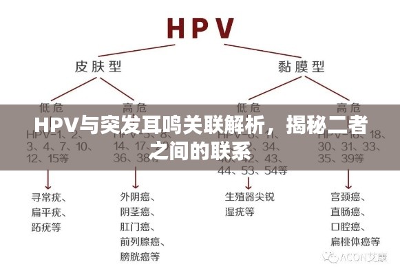 2025年6月13日 第5页