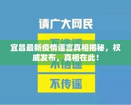 宜昌最新疫情谣言真相揭秘，权威发布，真相在此！