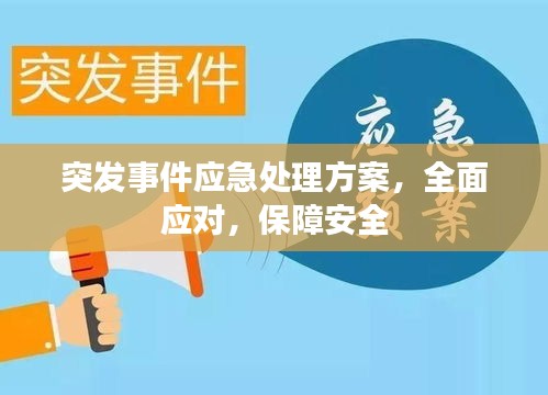 突发事件应急处理方案，全面应对，保障安全