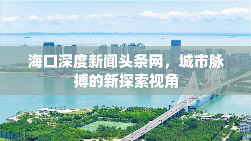 海口深度新闻头条网，城市脉搏的新探索视角