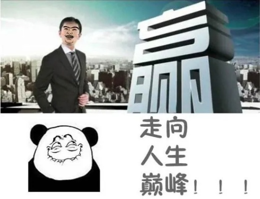 走向人生巅峰各种版本,实效性策略解析-豪华版_v4.978