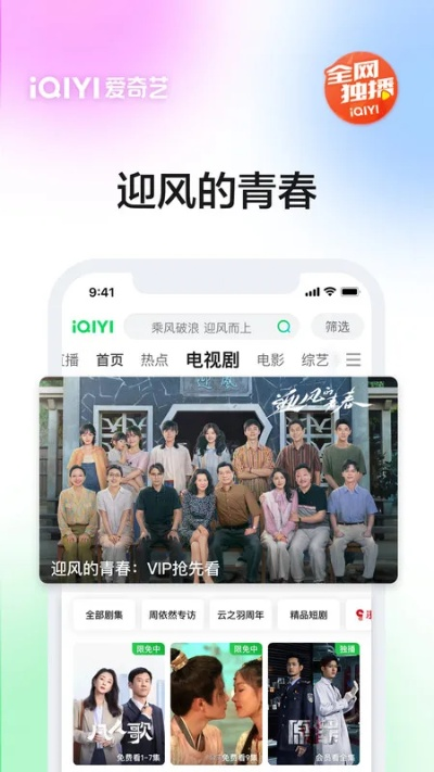爱奇艺各种版本,数据导向执行解析&限定版_v10.437