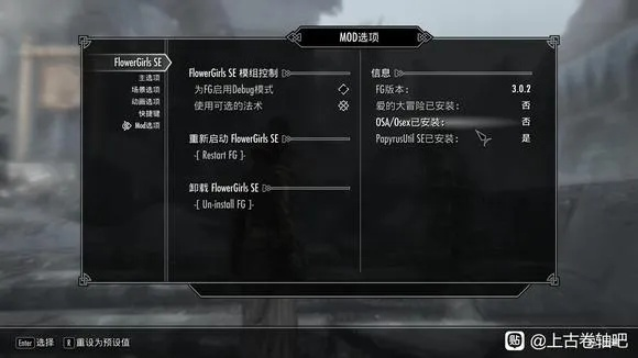 专业级工具,上古卷轴版本识别详解及旗舰款v8.544系统解答解释定义