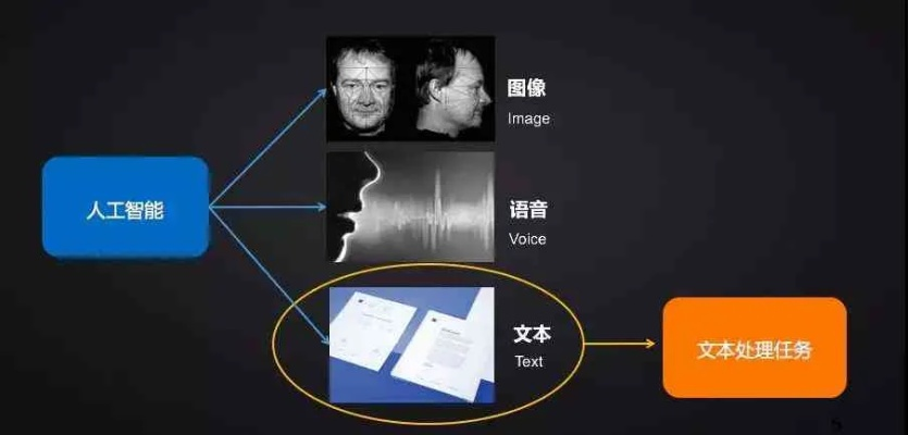 i阅读老版本选择指南，为入门与专业用户量身打造