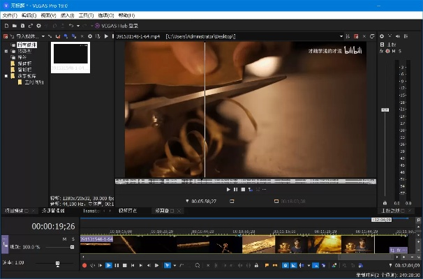 专业级工具,Vegas版本——快捷问题策略设计HDR版_v9.753
