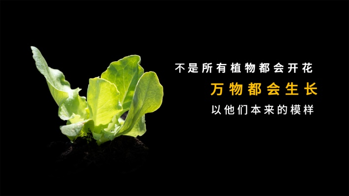 万物生长手游官方下载,数据导向实施步骤&The_v6.720