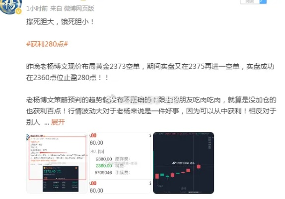 80老版本,理论分析解析说明_尊贵款_v1.390