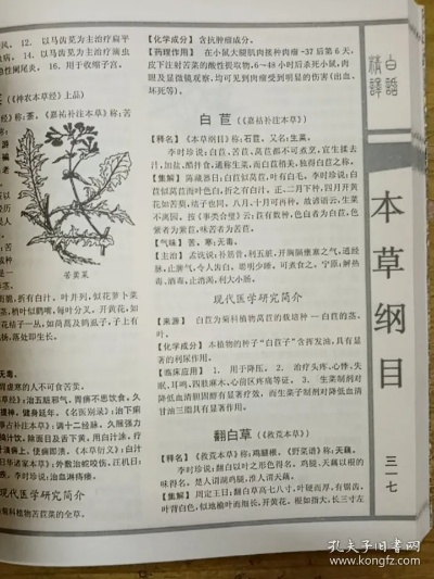 本草纲目版本,前沿评估解析&战斗版_v10.659