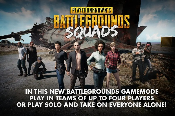 塞子大战激活码和绝地求生大逃杀单机版,精细化解读说明-薄荷版_v10.736