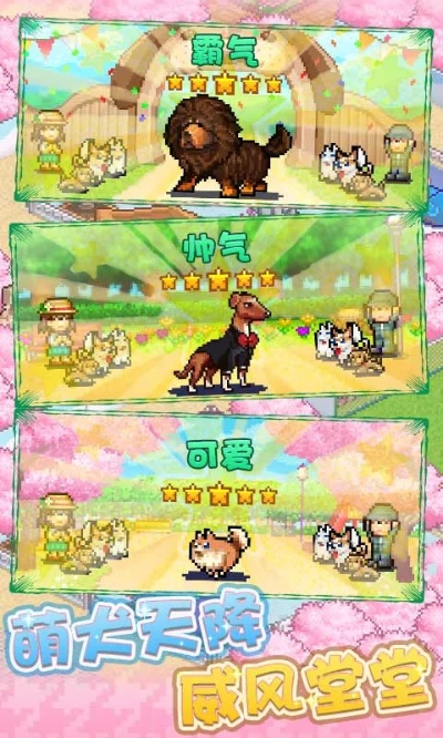 发现狗狗乐园单机版与萌店下载官方下载,稳定解析策略&FHD_v3.821