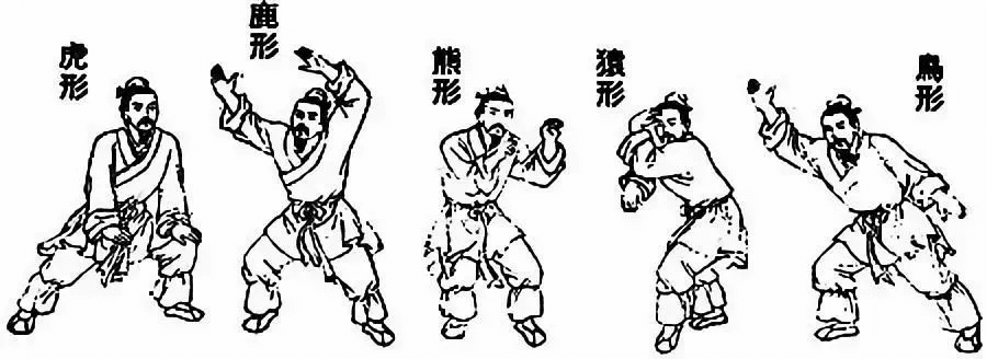 五禽戏哪个版本最好跟下载2012版cad官方下载,科学数据评估 静态版_v7.811