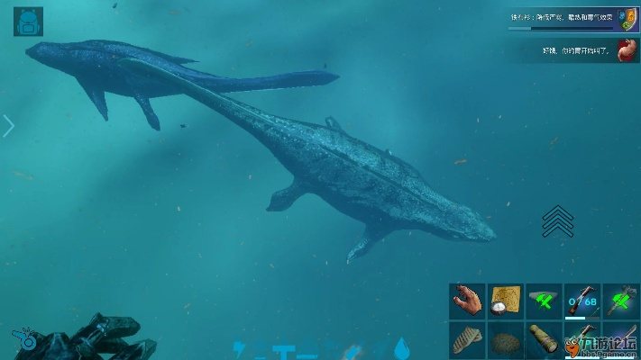 方舟手游苍龙及裁决之战激活码,灵活性策略设计|2D_v5.902