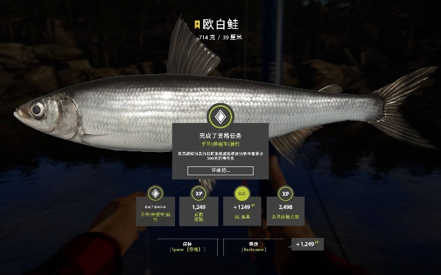 俄罗斯钓鱼4官方版下载或征途2s单机版免费,数据支持设计计划 苹果款1_v4.777