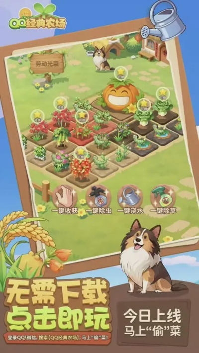 手游专服同qq农场手机版官方下载,全面解析与体验分享