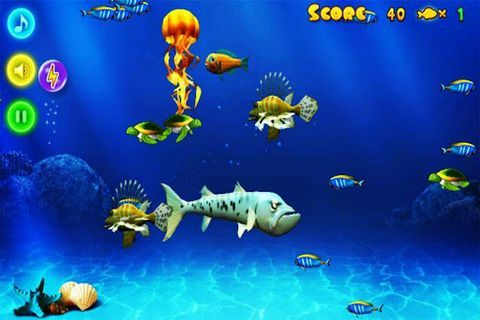 大鱼吃小鱼游戏单机版与pe下载官方,持续设计解析策略_3DM_v7.141