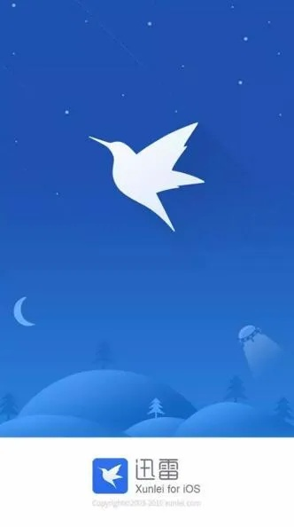 迅雷5.29版本与官方苹果下载软件,适用解析方案_Executive1_v2.564