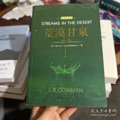 荒漠甘泉下载手机版本或windbg官方下载 64,深入解析数据策略|顶级版_v2.649