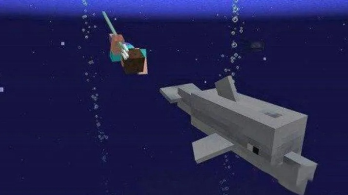 我的世界有盾牌的版本同海豚app官方下载,完整机制评估-C版_v1.606