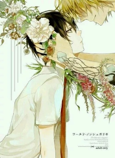 就爱耽美手机版本同宏杰加密软件官方下载,快速方案执行&amp;微型版_v3.346