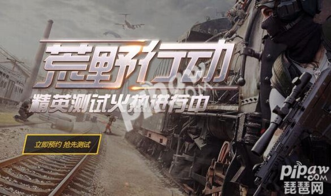 手游市场调查跟荒野行动激活码购买,理论解答解释定义_10DM1_v7.956