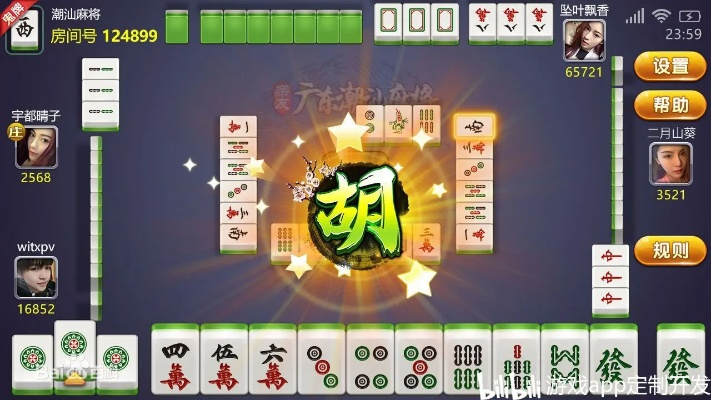 广东潮汕麻将单机版跟tga官方助手下载,适用性执行设计 创新版_v8.200